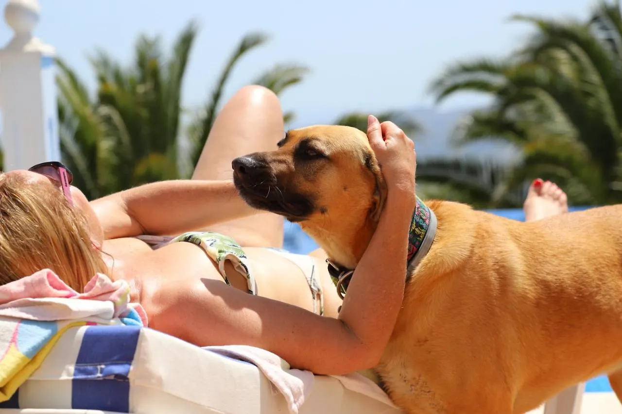 Bed & Breakfast Villa Manana Mijas
